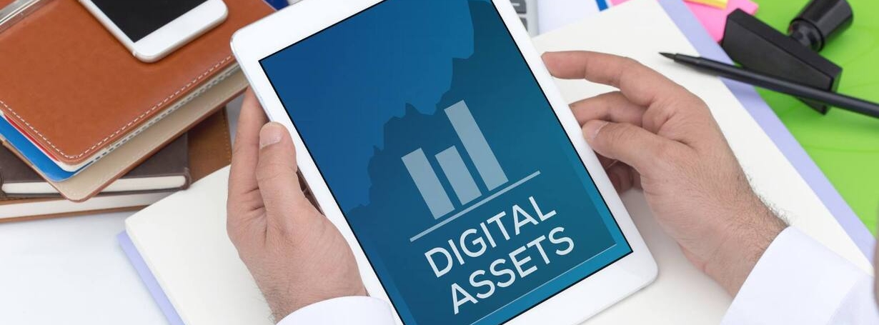 5 Best Digital Asset Management Software For Any Business In 2023