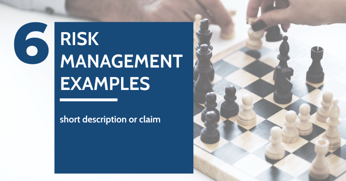 risk management